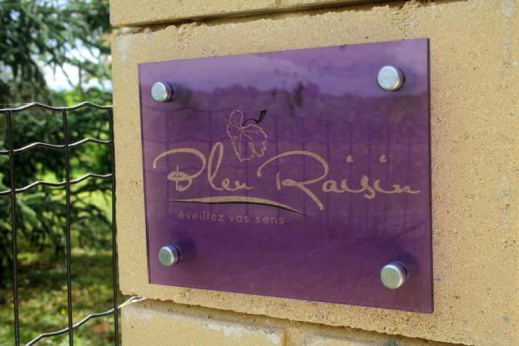 Bed and Breakfast Bleu Raisin Les Salles-de-Castillon Exterior foto