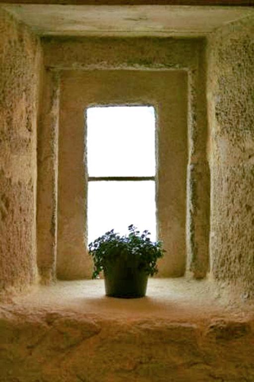 Bed and Breakfast Bleu Raisin Les Salles-de-Castillon Zimmer foto